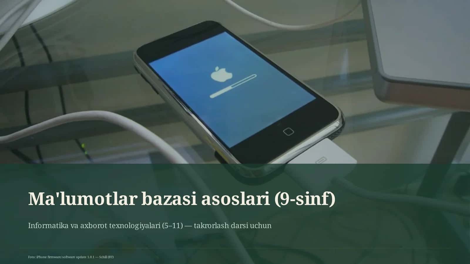 Ma'lumotlar bazasi asoslari (9-sinf)