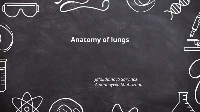 Anatomy of lungs