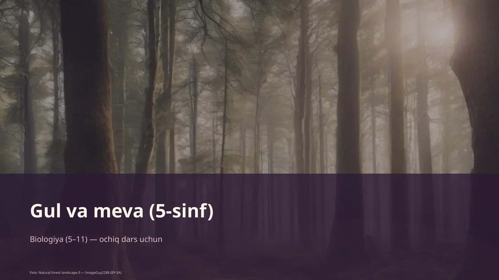 Gul va meva (5-sinf)