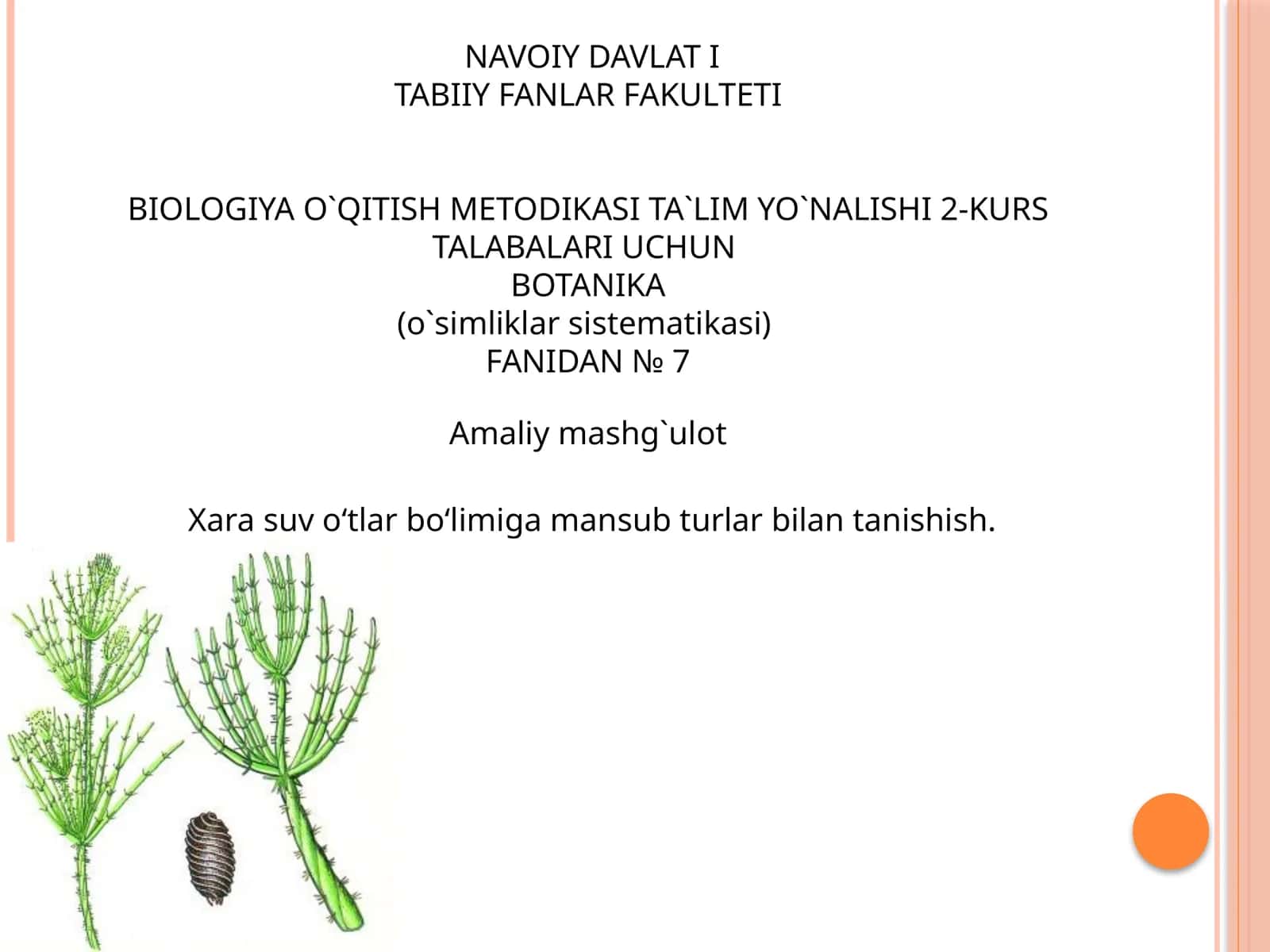 BIOLOGIYA O`QITISH METODIKASI TA`LIM YO`NALISHI 2-KURS TALABALARI UCHUN