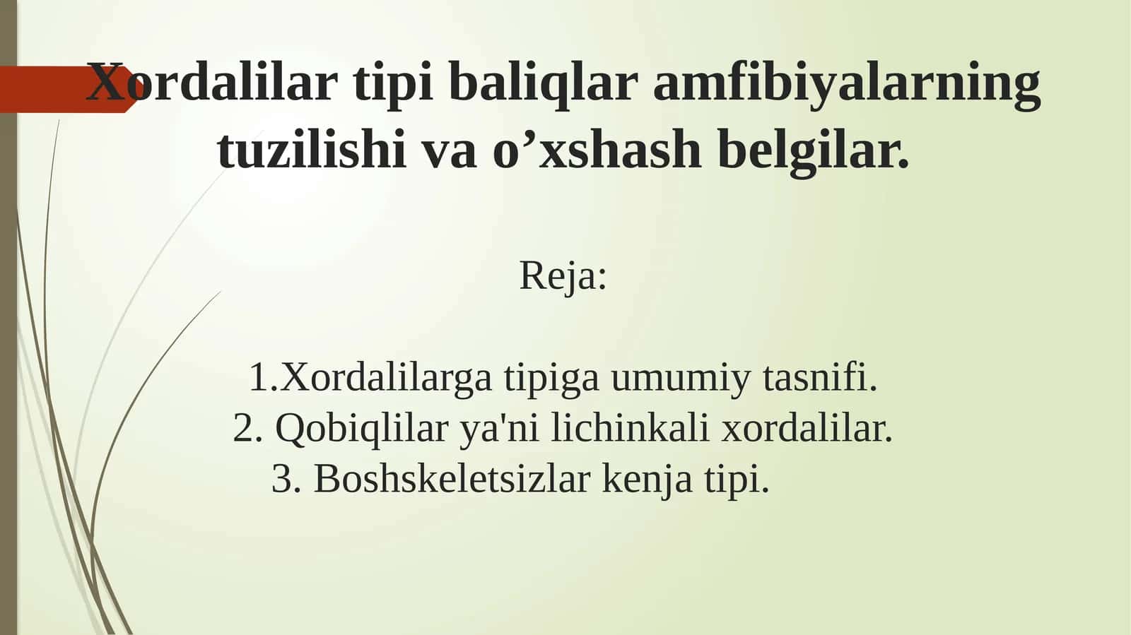 Xordalilar tipi baliqlar amfibiyalarning tuzilishi va o’xshash belgilari