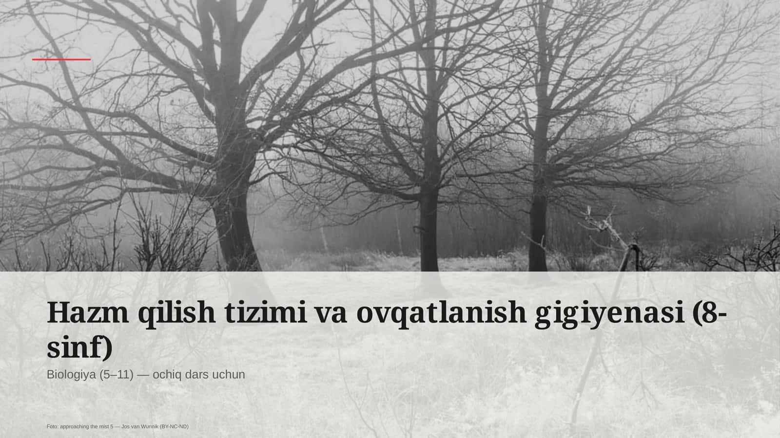 Hazm qilish tizimi va ovqatlanish gigiyenasi (8-sinf)
