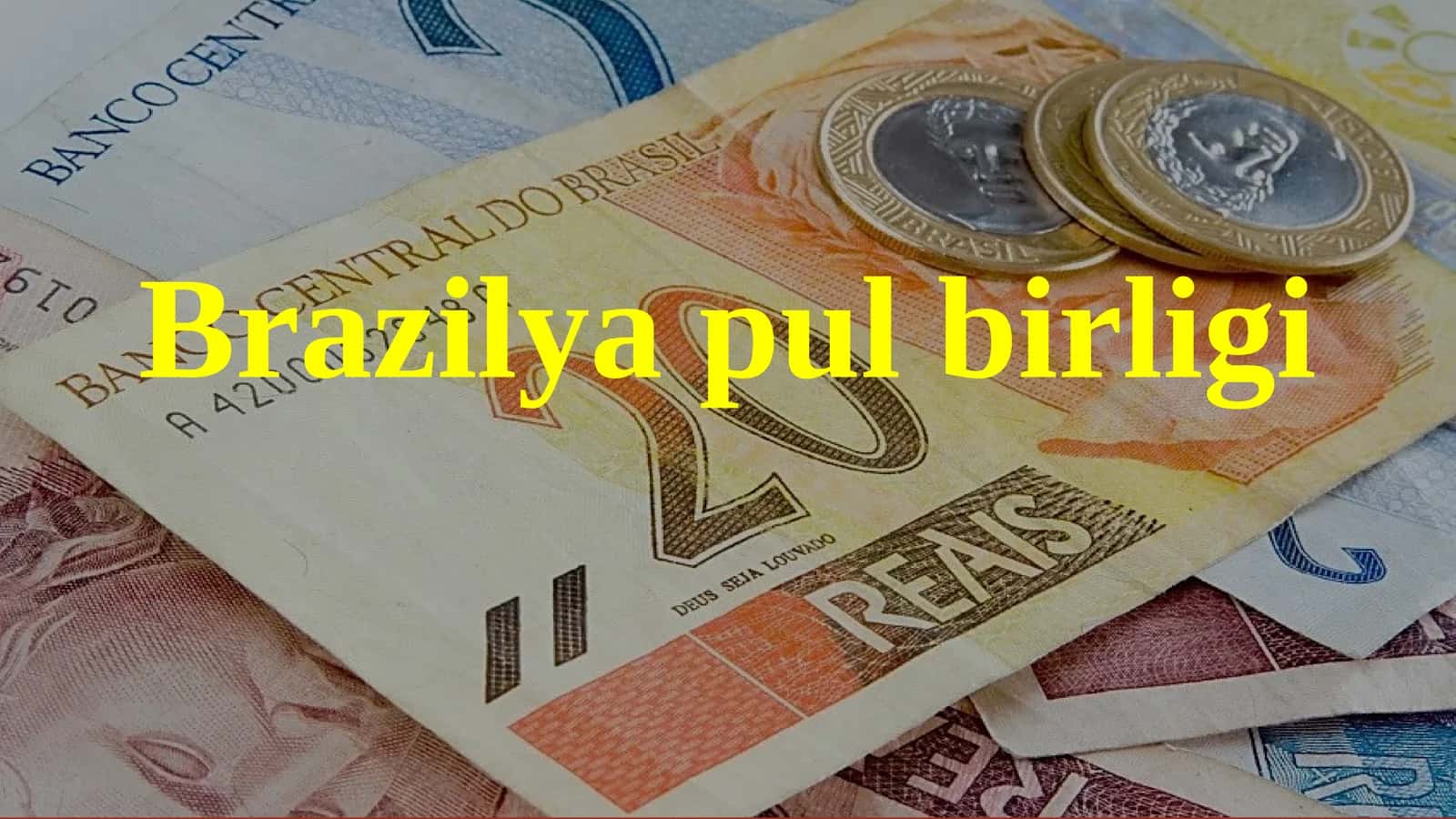 Brazilya pul birligi