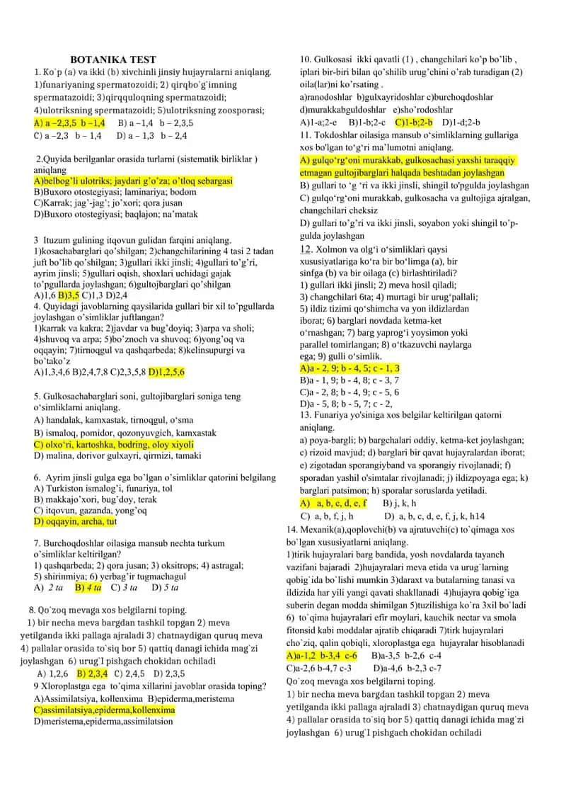 BOTANIKA TEST 90 ta