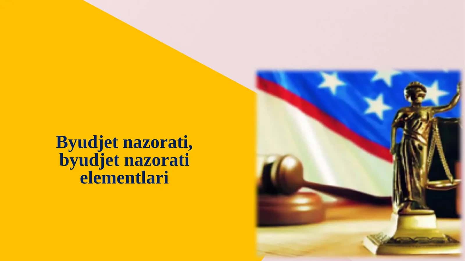 Byudjet nazorati, byudjet nazorati elementlari