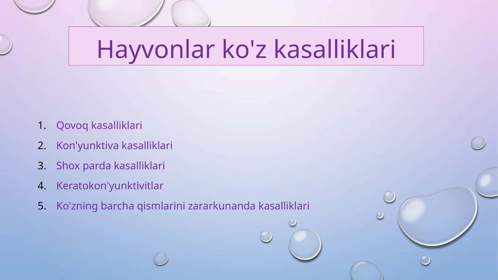 Hayvonlarda ko'z kasalliklari