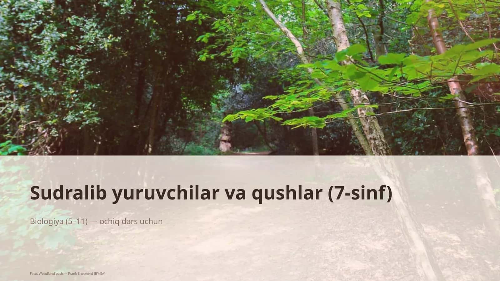 Sudralib yuruvchilar va qushlar (7-sinf)