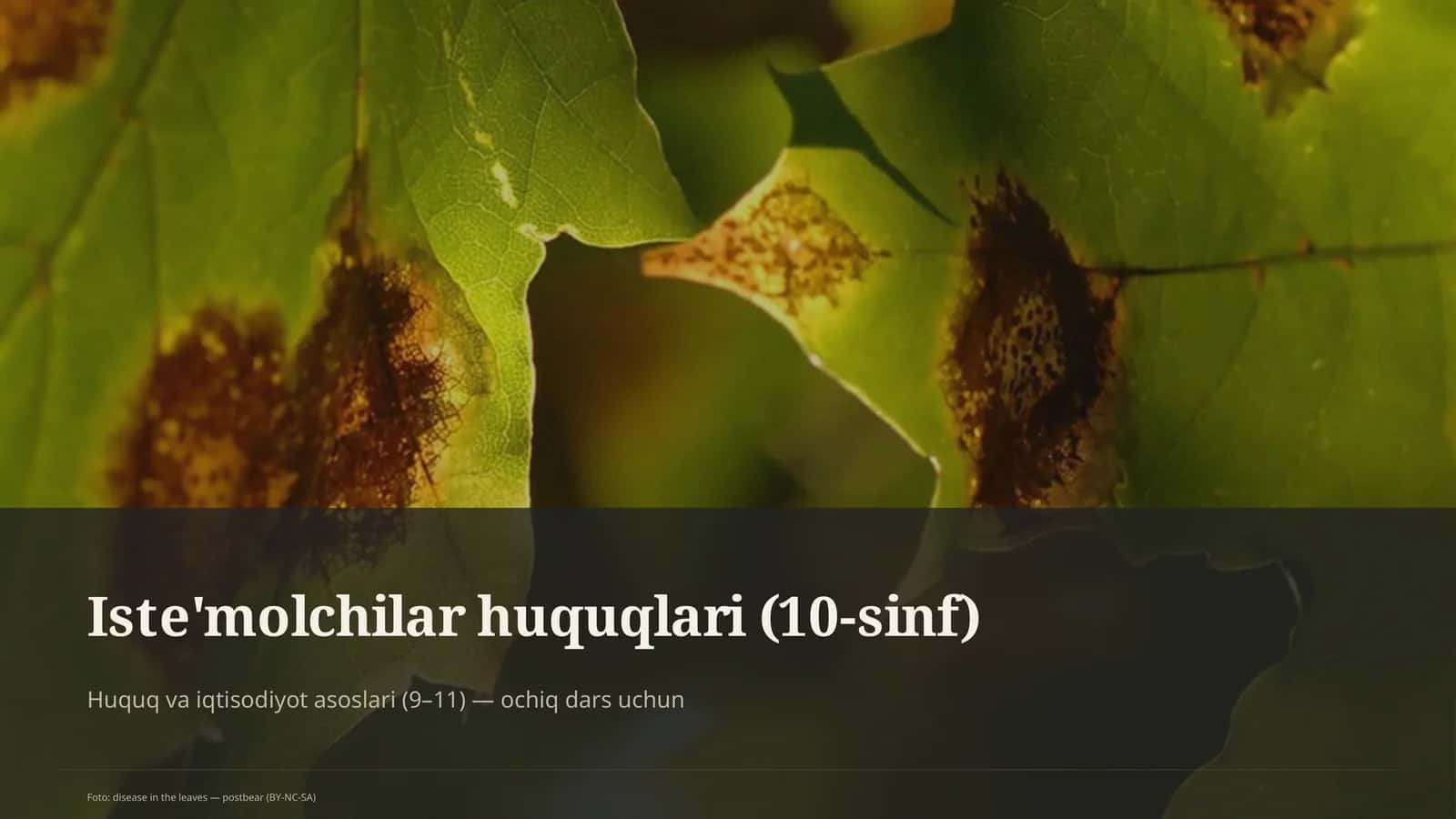 Huquq va iqtisodiyot asoslari (9–11) — ochiq dars uchun