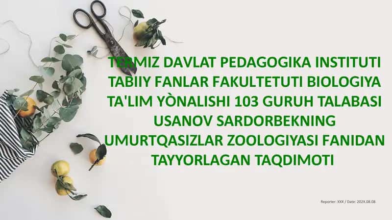 Zuluklar(Hirudinae)sinfi