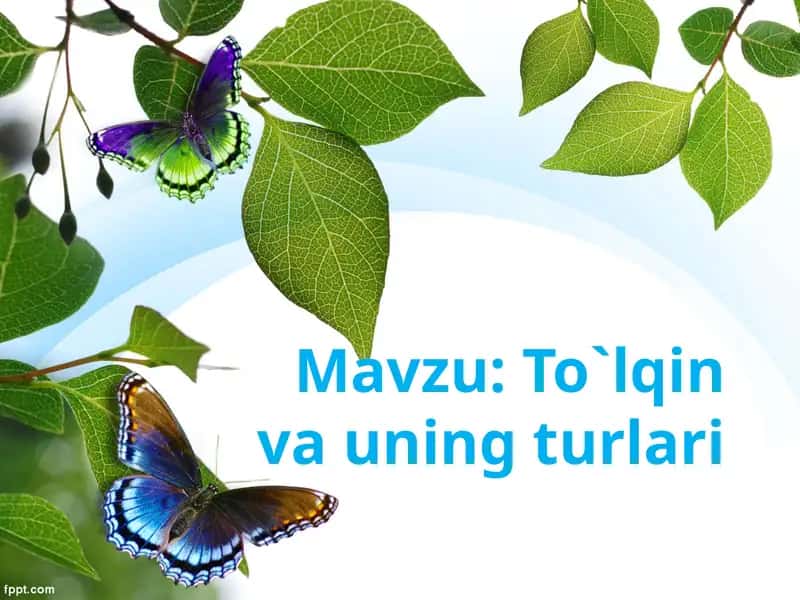 To`lqinтva uning turlari