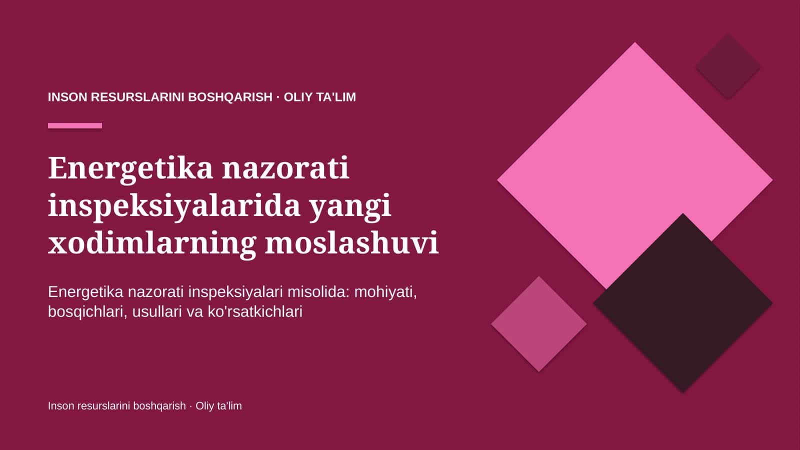 Energetika nazorati inspeksiyalarida yangi xodimlarning moslashuvi