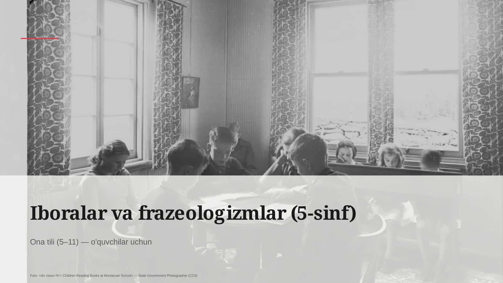 Iboralar va frazeologizmlar (5-sinf)