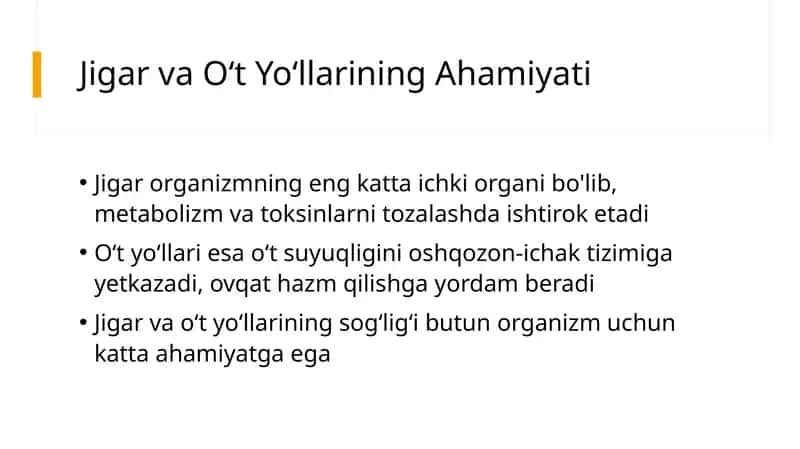 Jigar va Oʻt Yoʻllarining Ahamiyati