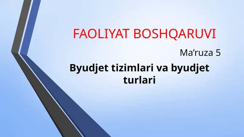 Byudjet tizimlari va byudjet turlari 1