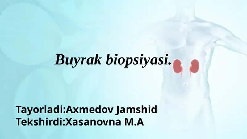Buyrak biopsiyasi