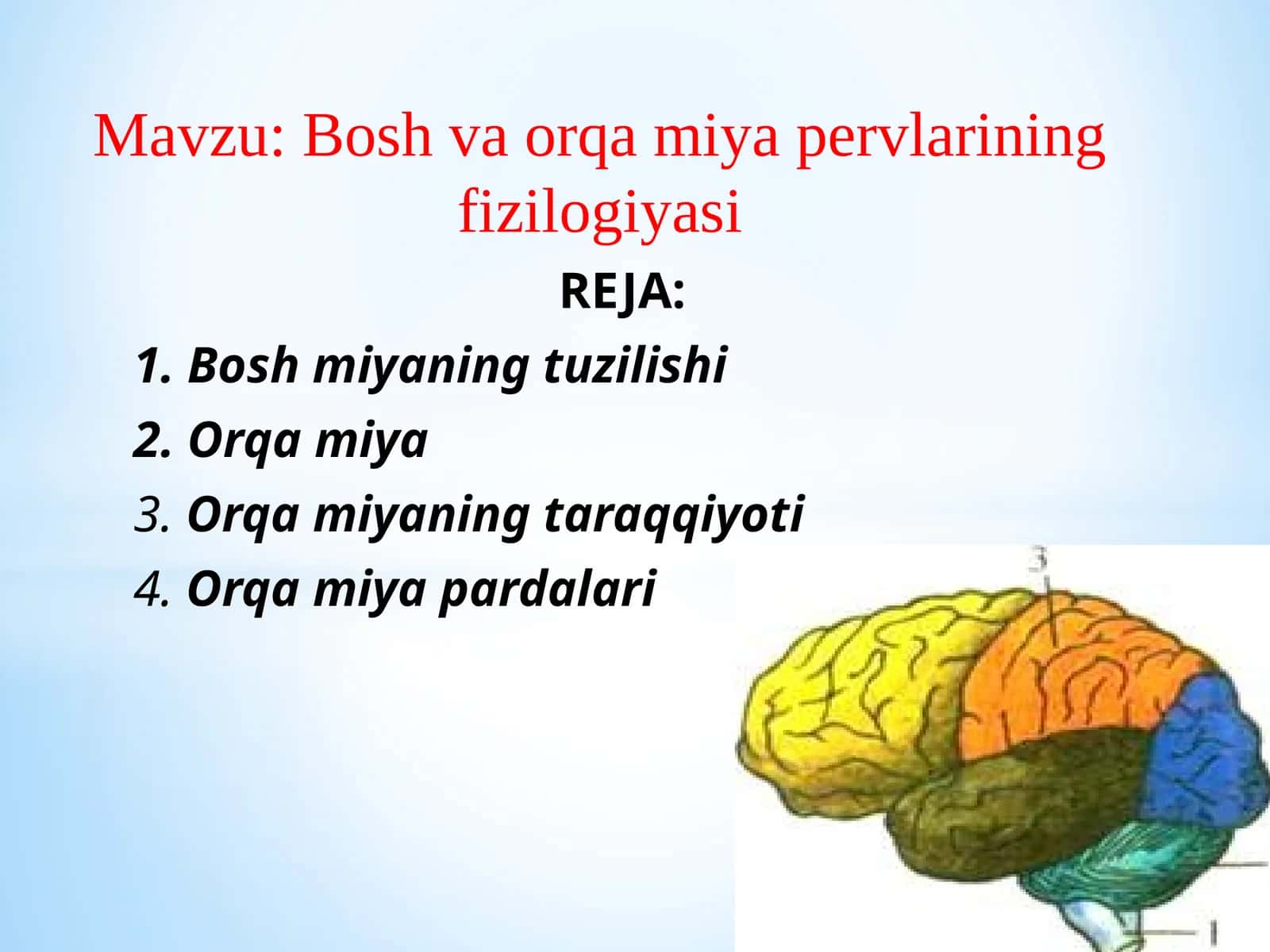 Bosh va orqa miya pervlarining fizilogiyasi