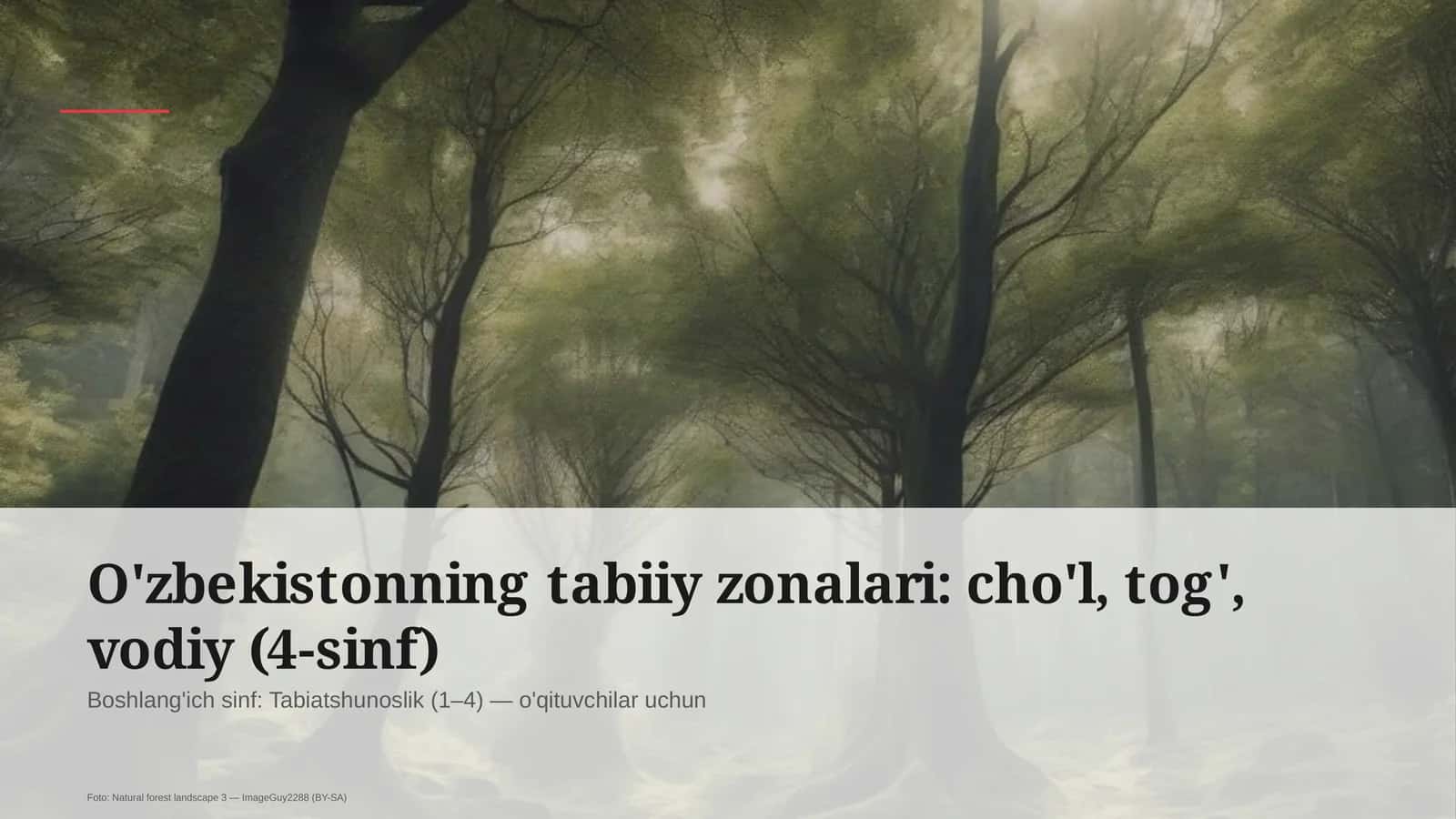 O'zbekistonning tabiiy zonalari: cho'l, tog', vodiy (4-sinf)