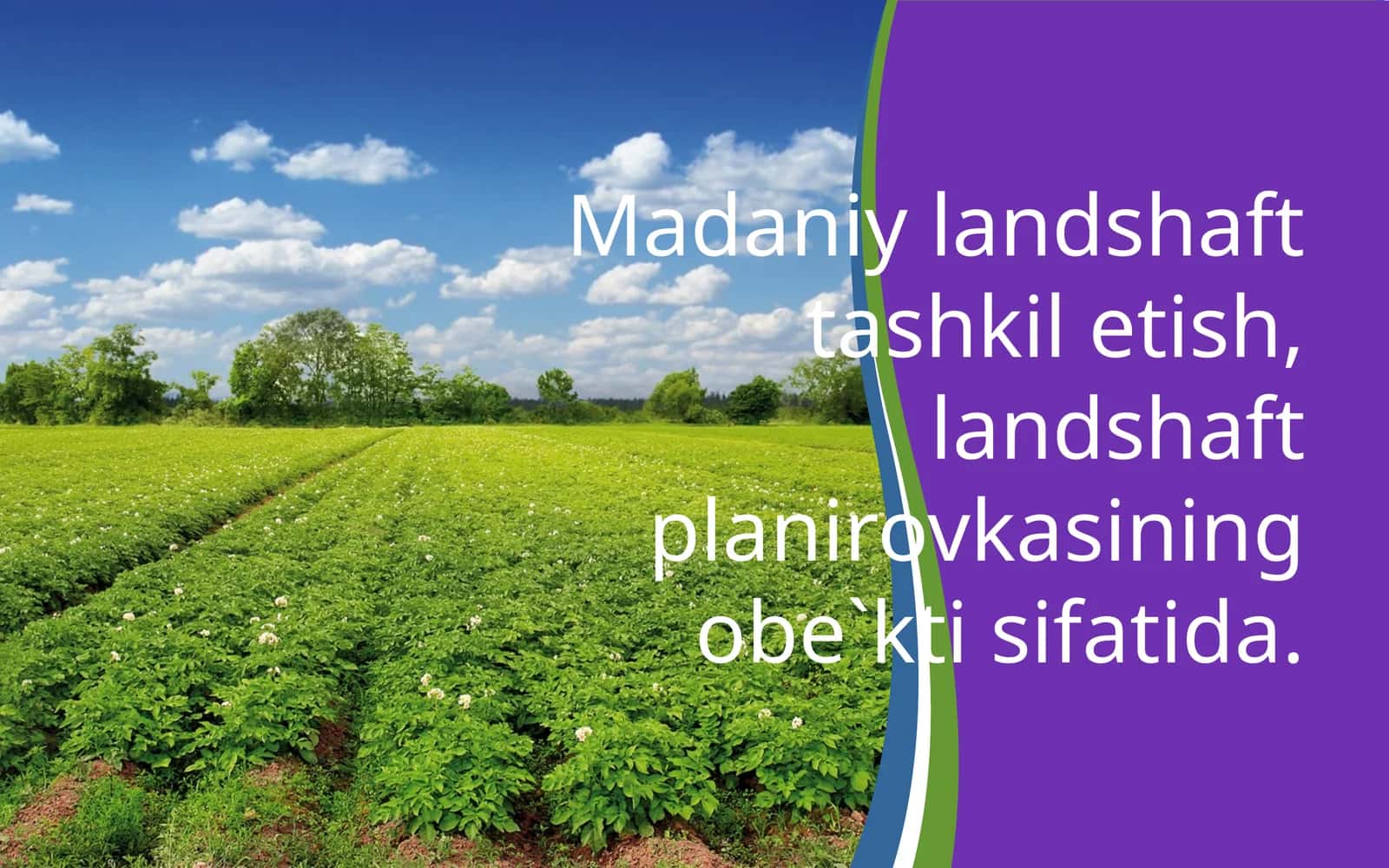 Madaniy landschaft tashkilotish, landshaft planirovka