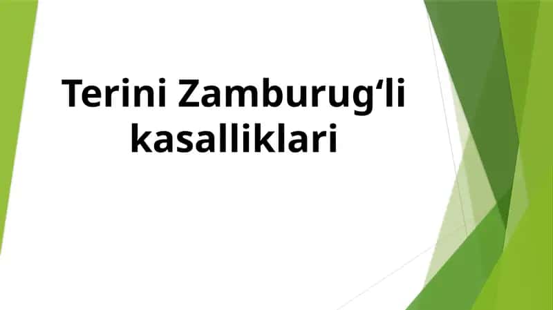 Terini Zamburugʻlikasalliklari