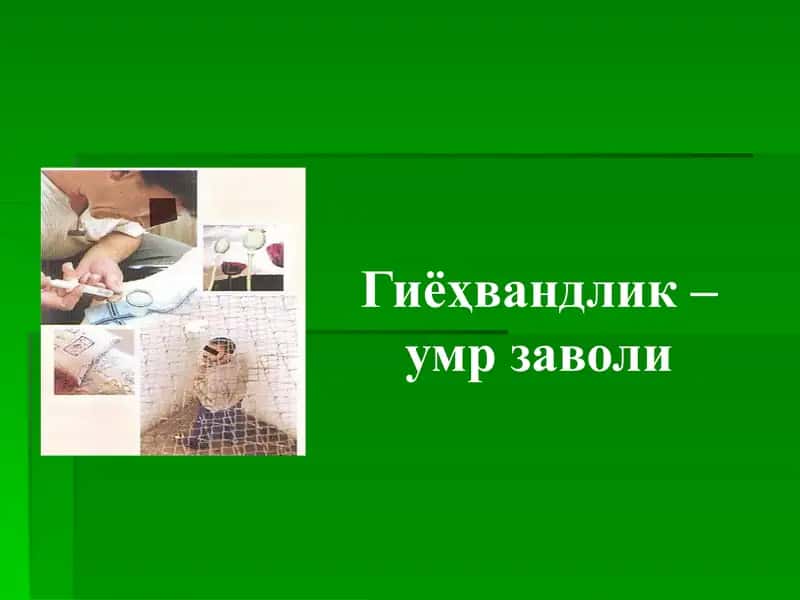 Гиёҳвандлик - умр заволи