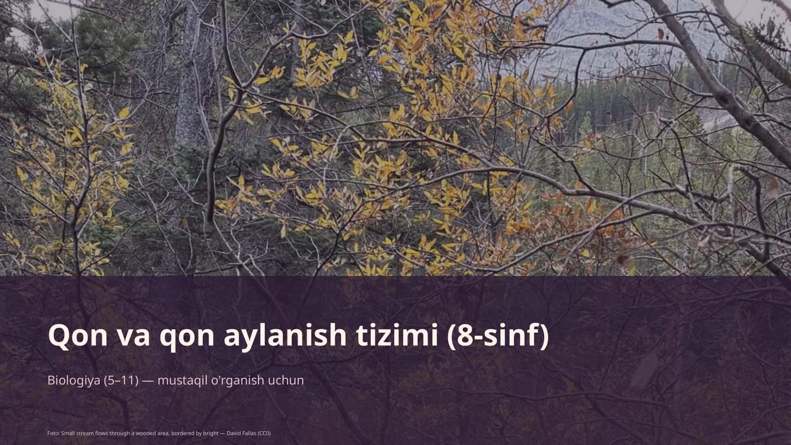 Qon va qon aylanish tizimi (8-sinf)