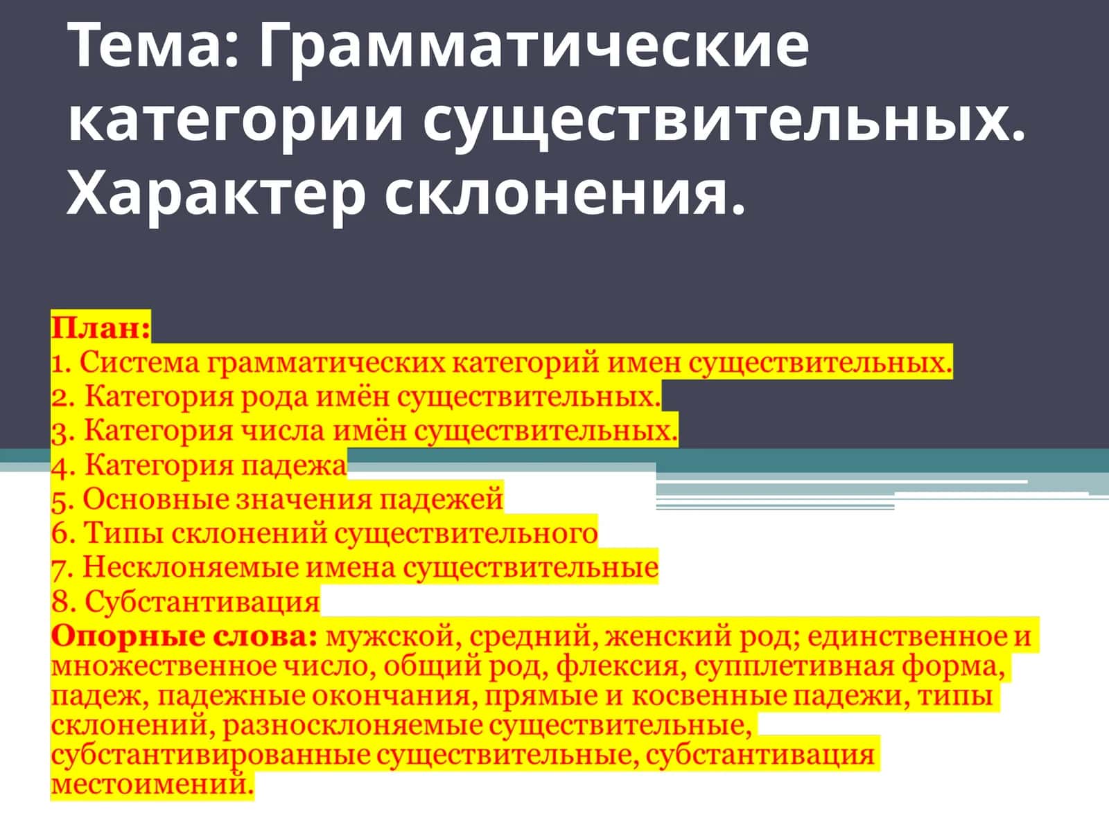 Грамматические категории существительных