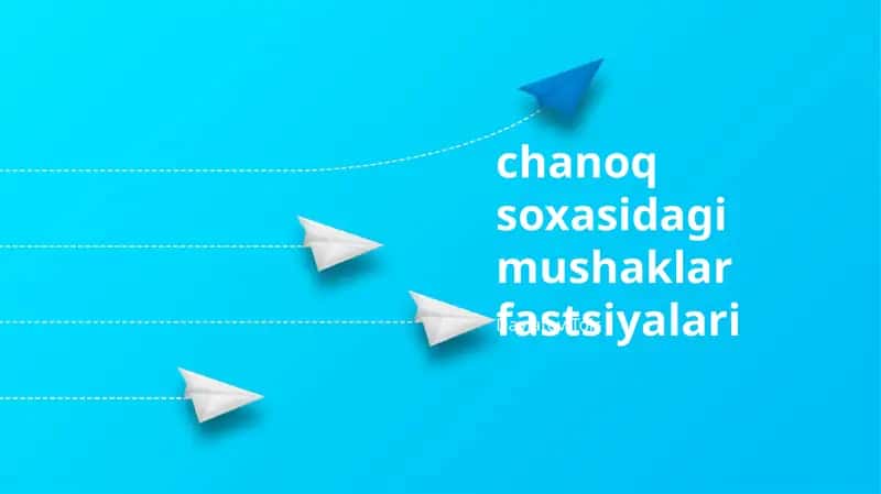 Chanoq Soxasidagi Fasialarning Umumiy Tavifi
