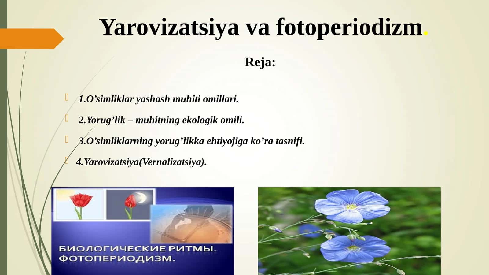 Yarovizatsiya va fotoperiodizm