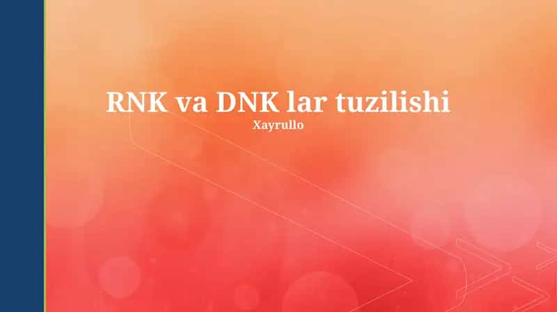 RNK va DNK lar tuzilishi