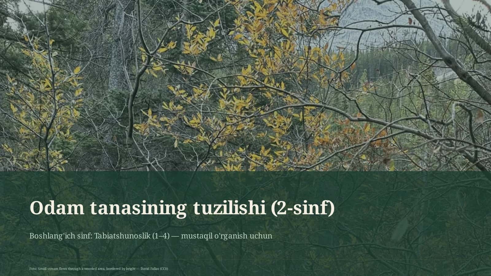 Odam tanasining tuzilishi (2-sinf)