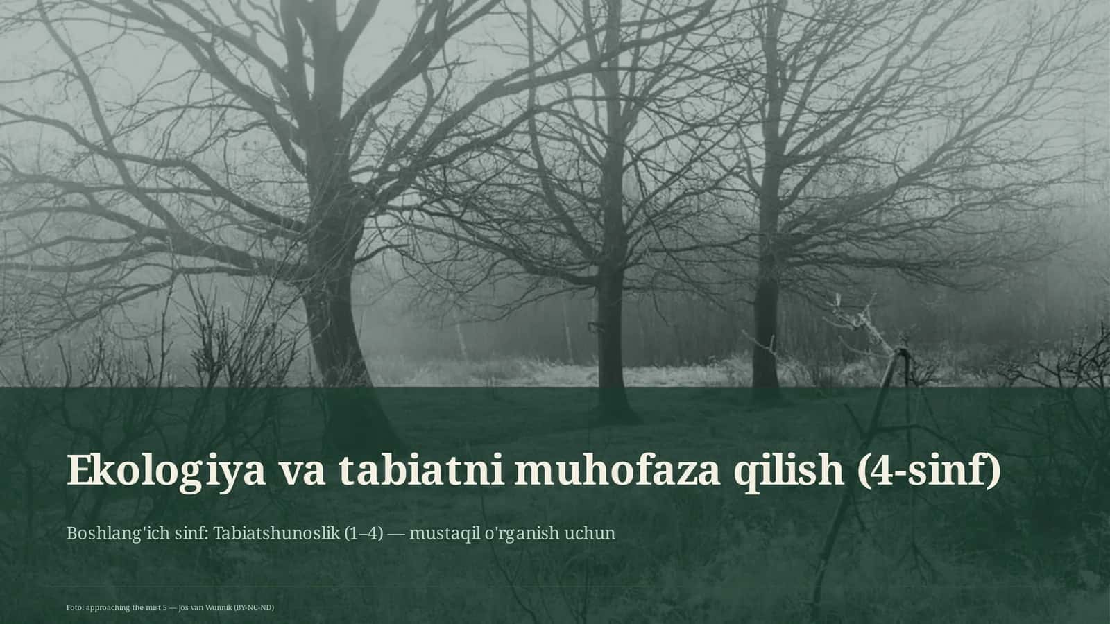 Ekologiya va tabiatni muhofaza qilish (4-sinf)