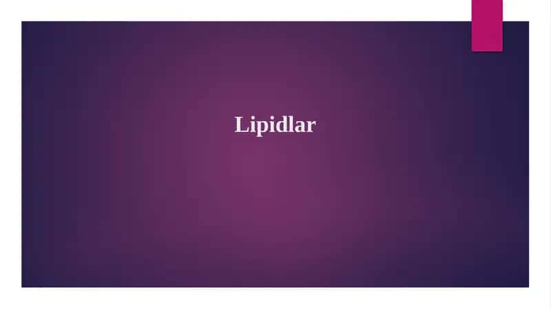 Lipidlar