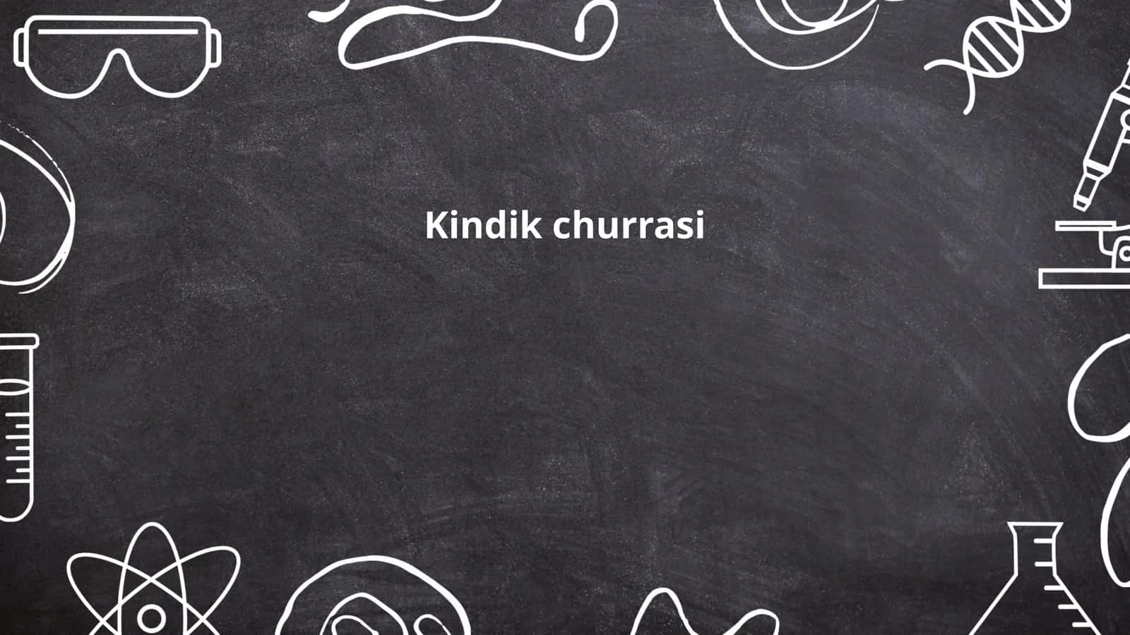 Kindik churrasi