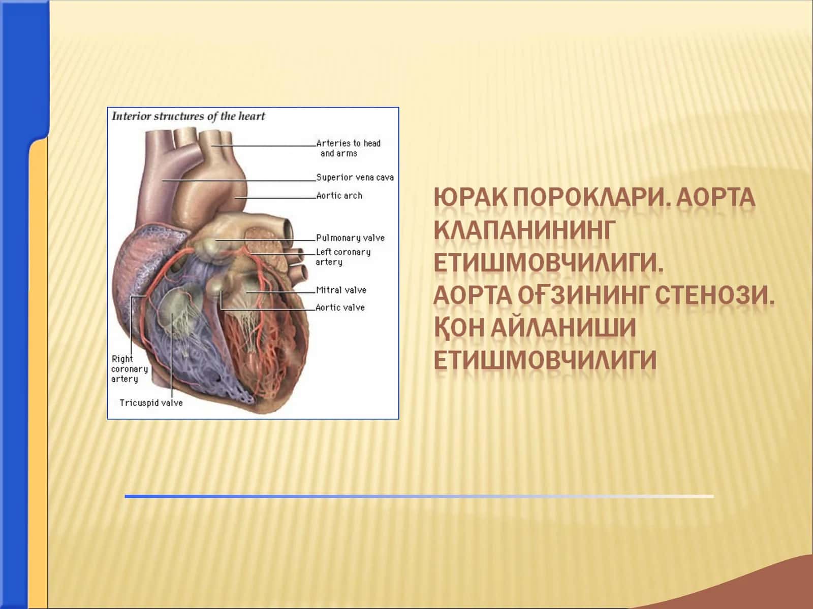 юрак  пороклари