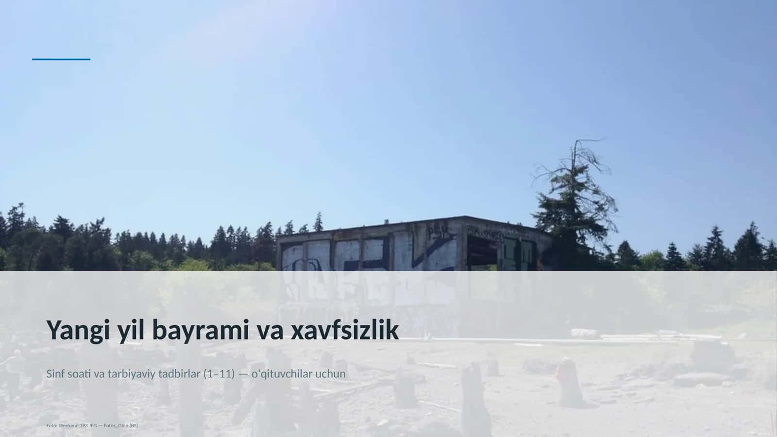 Yangi yil bayrami va xavfsizlik