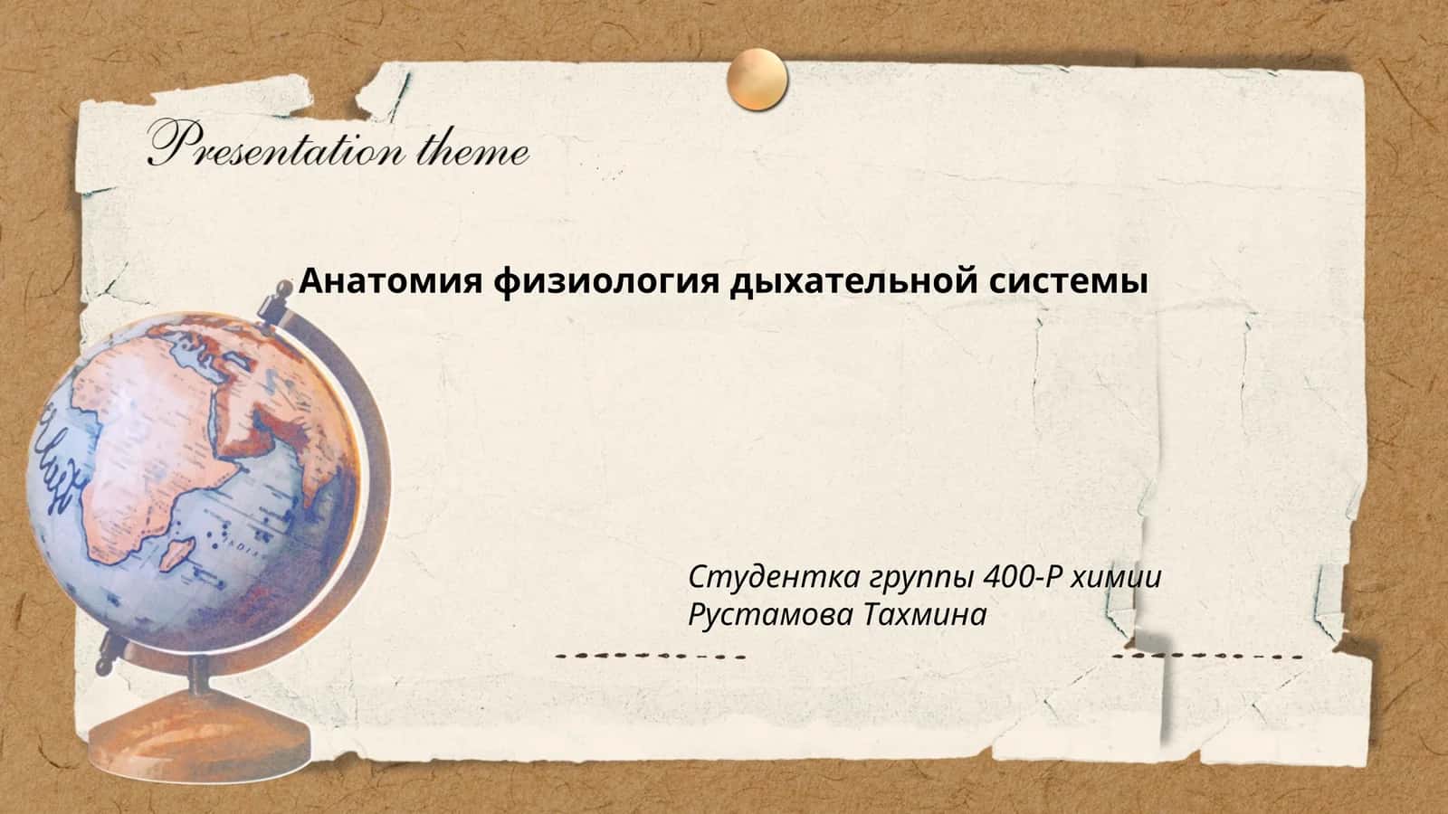 Анатомия физиология дыхательной системы