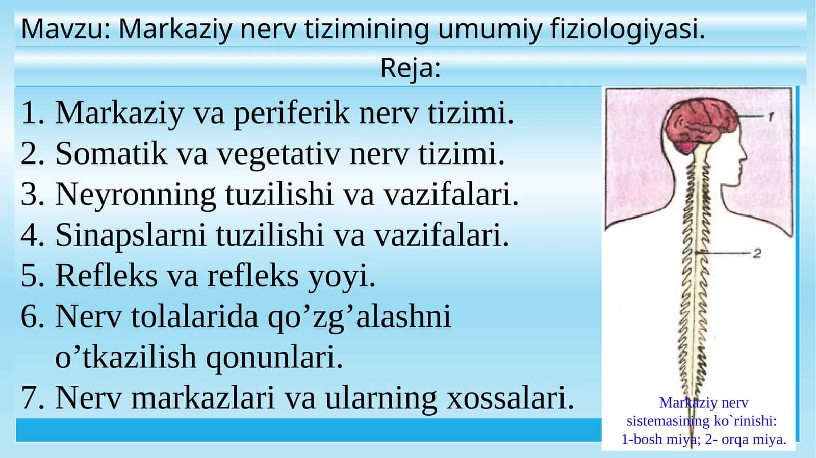 Markaziynerv tizimining umumiy fiziologiyasi