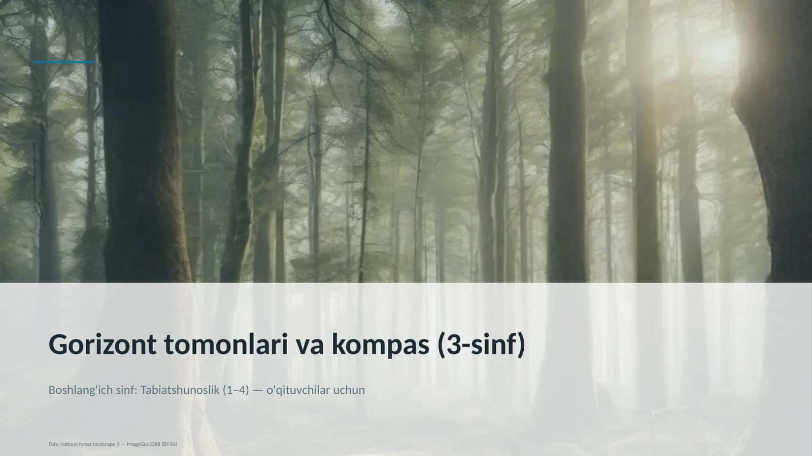 Gorizont tomonlari va kompas (3-sinf)