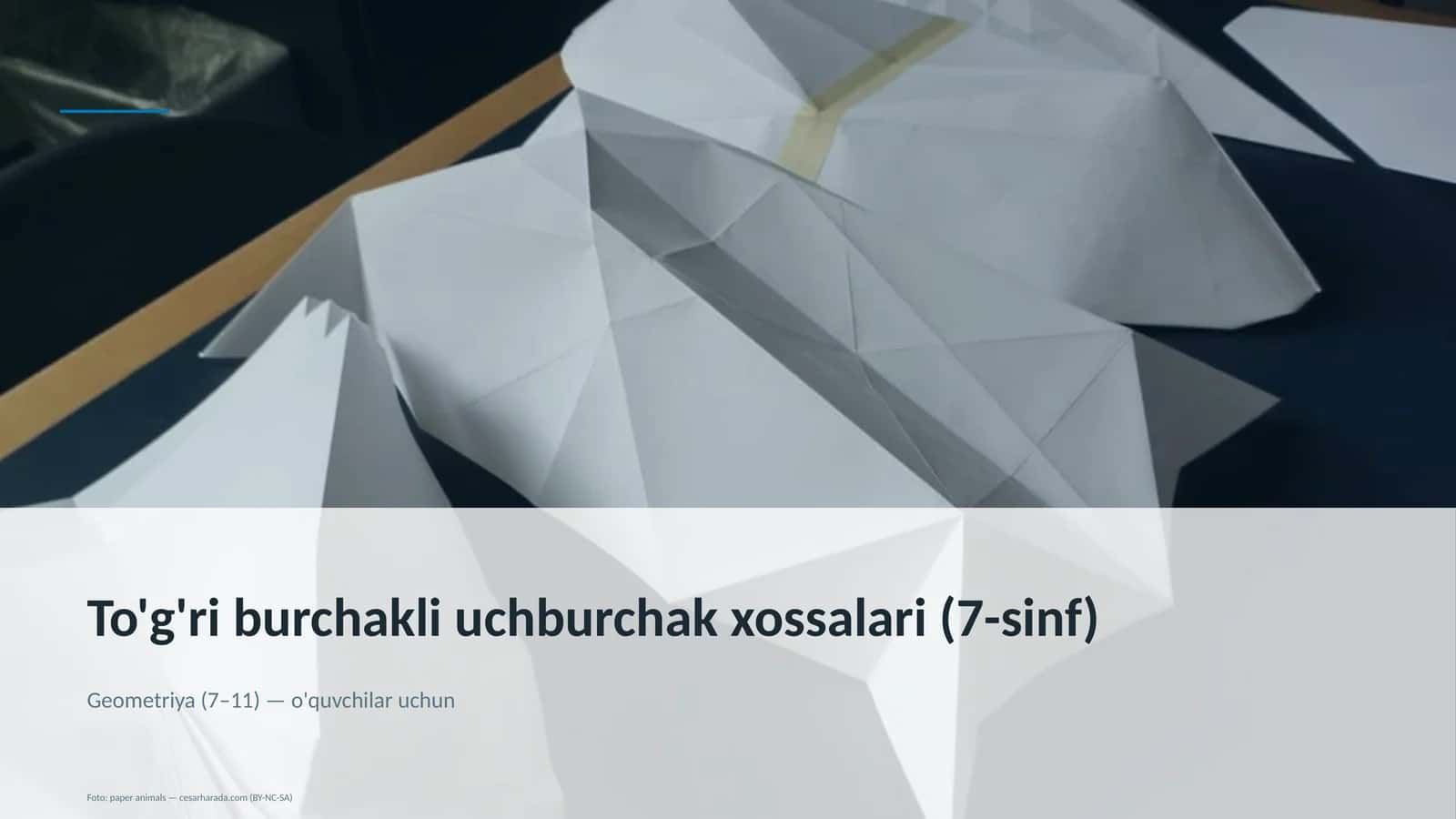 To'g'ri burchakli uchburchak xossalari (7-sinf)