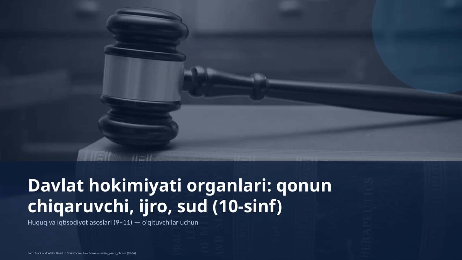 Davlat hokimiyati organlari: qonun chiqaruvchi, ijro, sud (10-sinf)