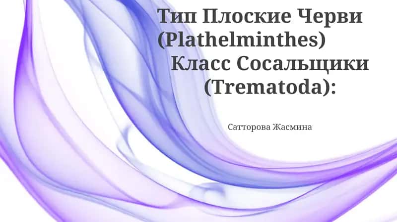Сатторова Жасмина