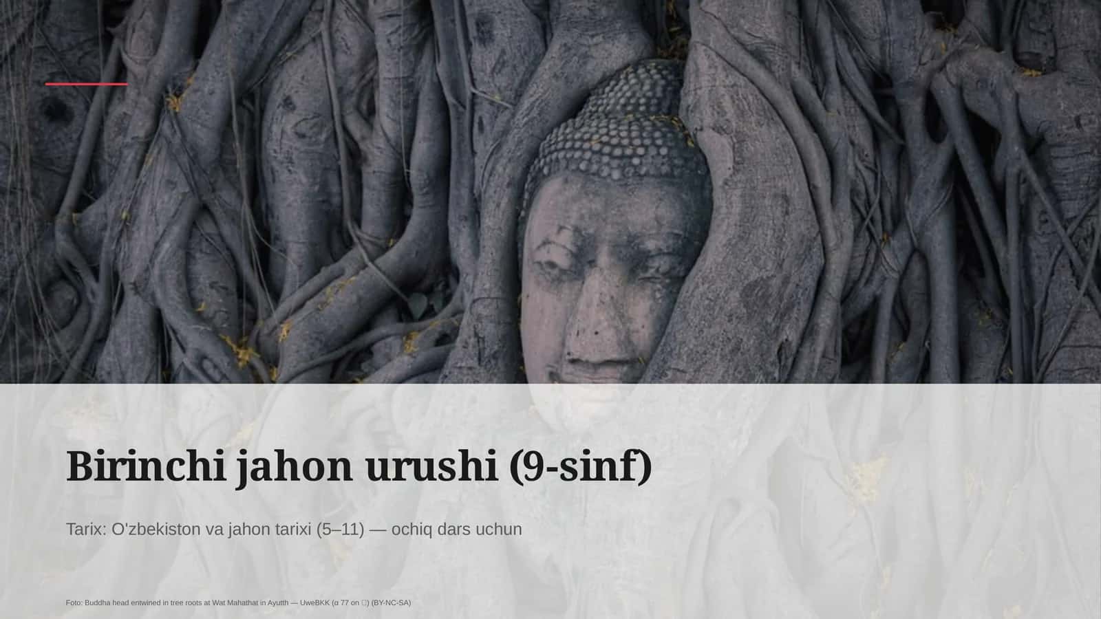 Birinchi jahon urushi (9-sinf)