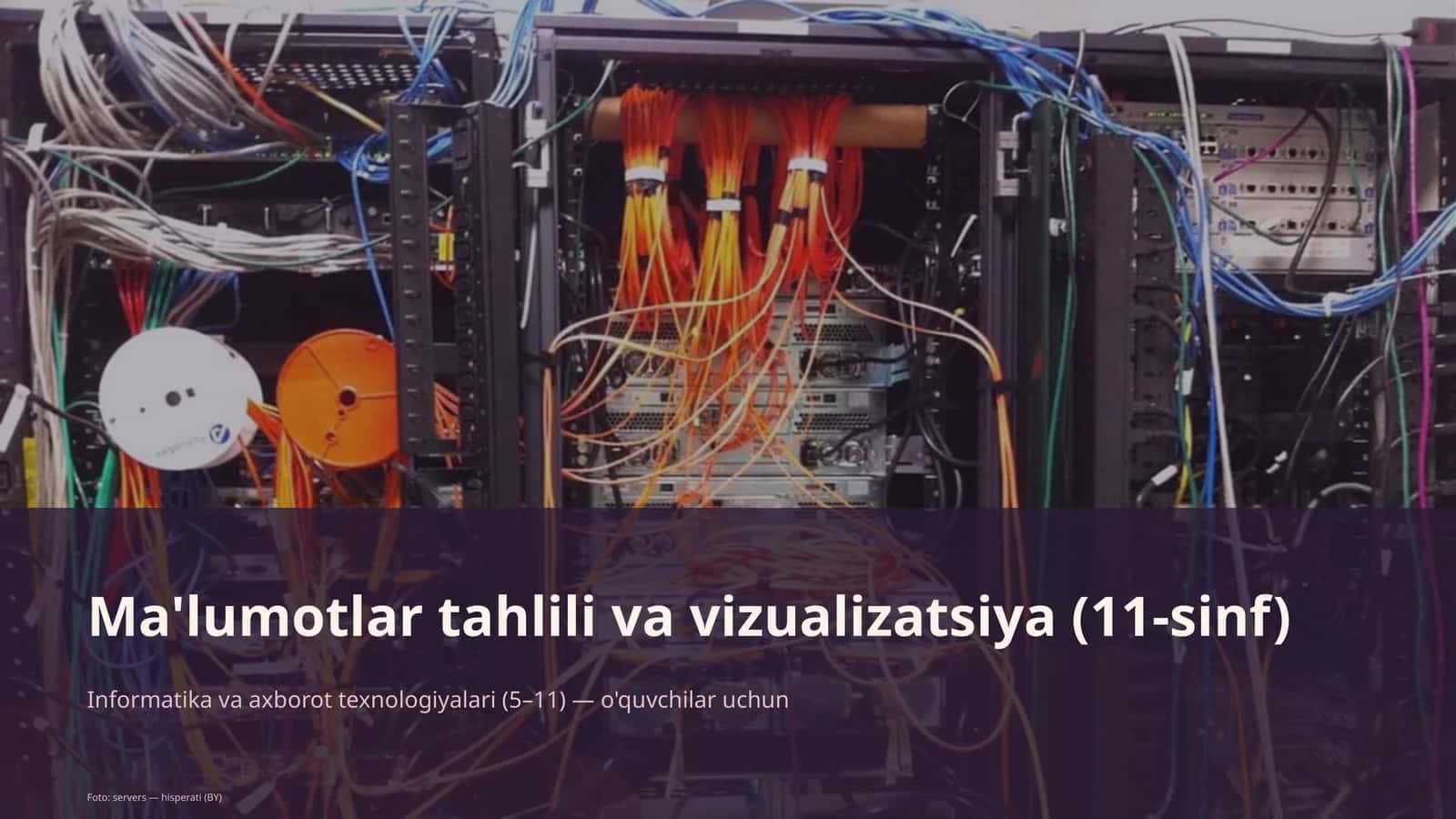 Ma'lumotlar tahlili va vizualizatsiya (11-sinf)