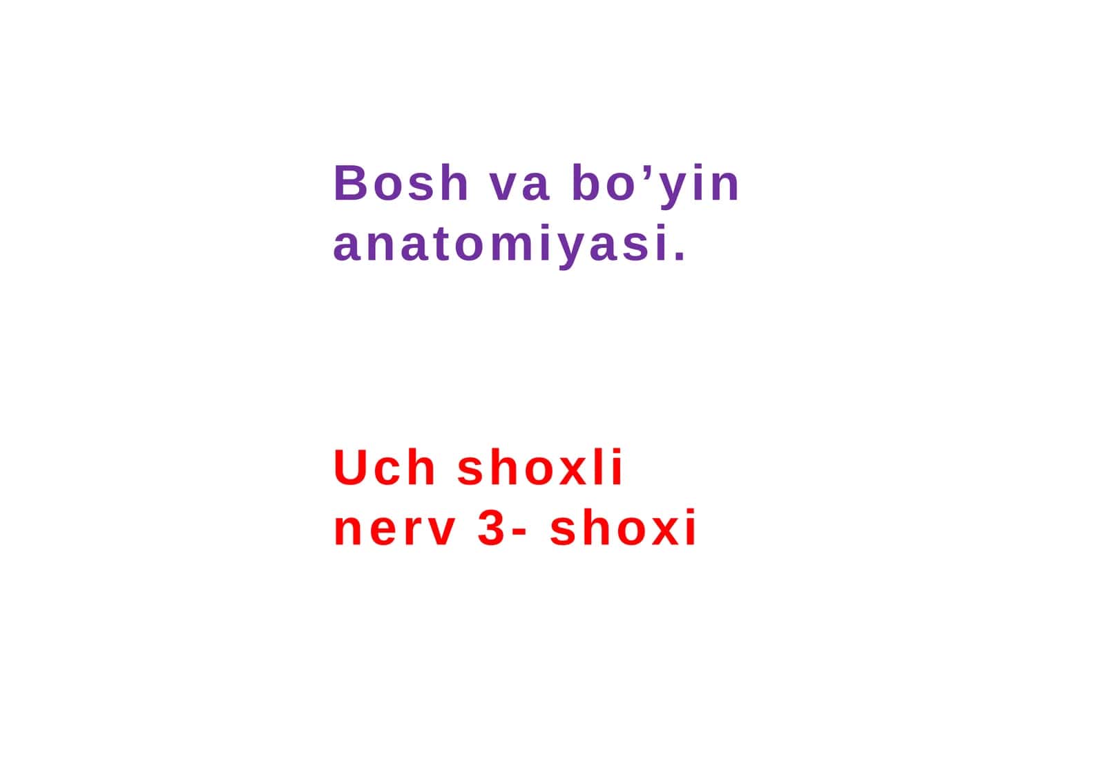 Uch shoxli nerv 3- shoxi, N.Mandibularis