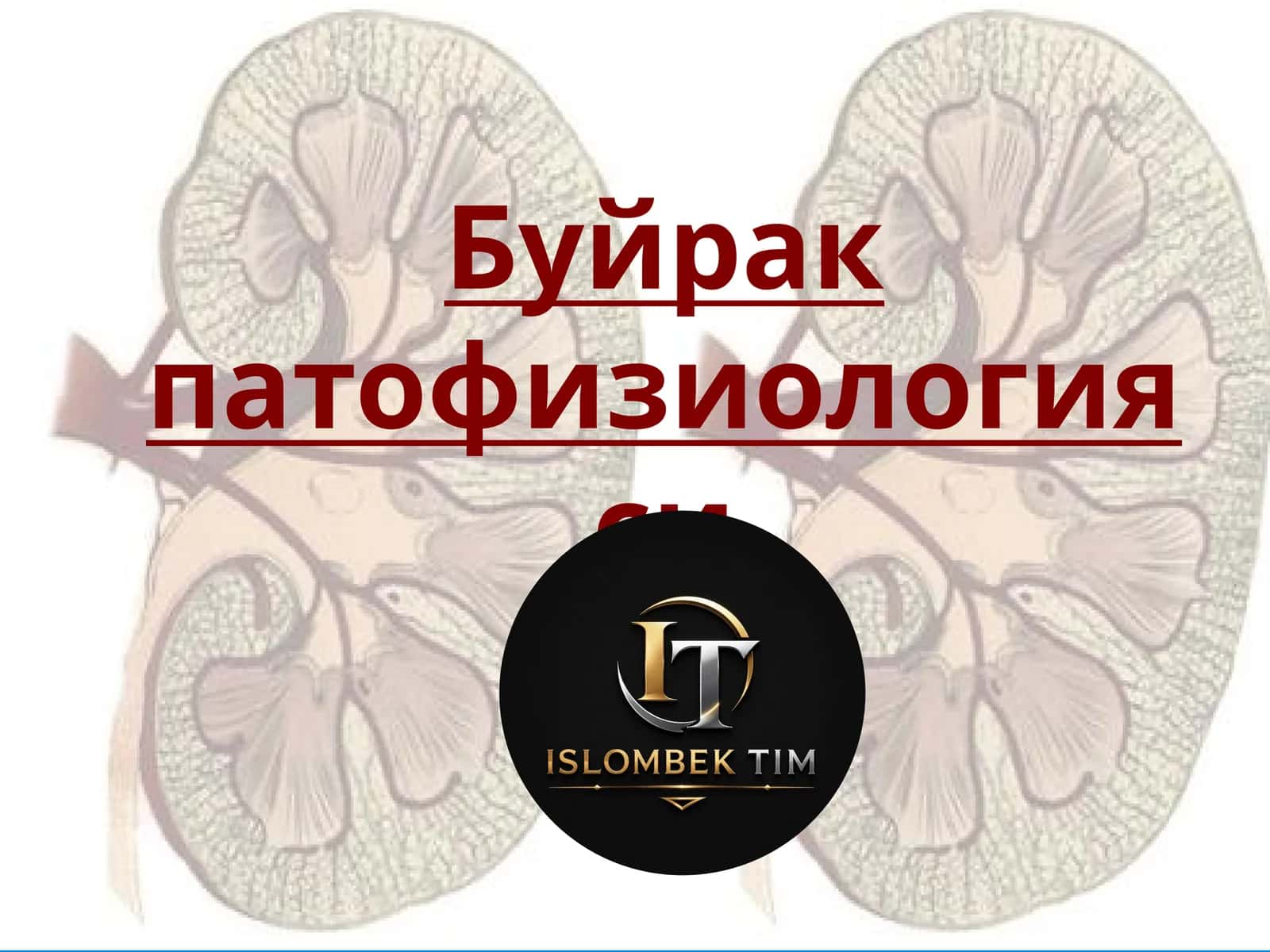 Буйрак патофизиологияси