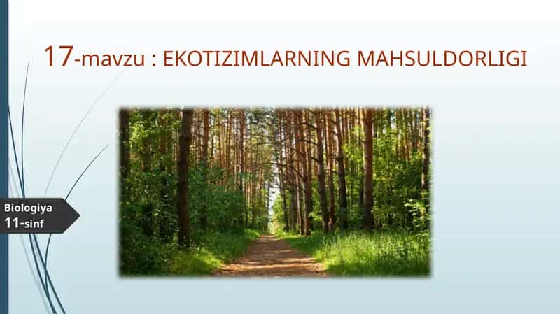 EKOTIZIMLARNING MAHSULDORLIGI