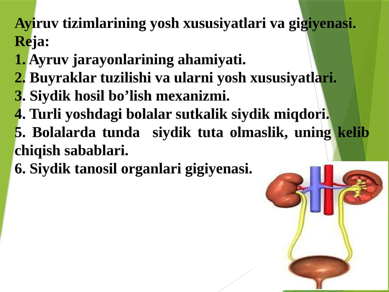 Ayiruvtizimlarining yosh xususiyatlari va gigiyenasi