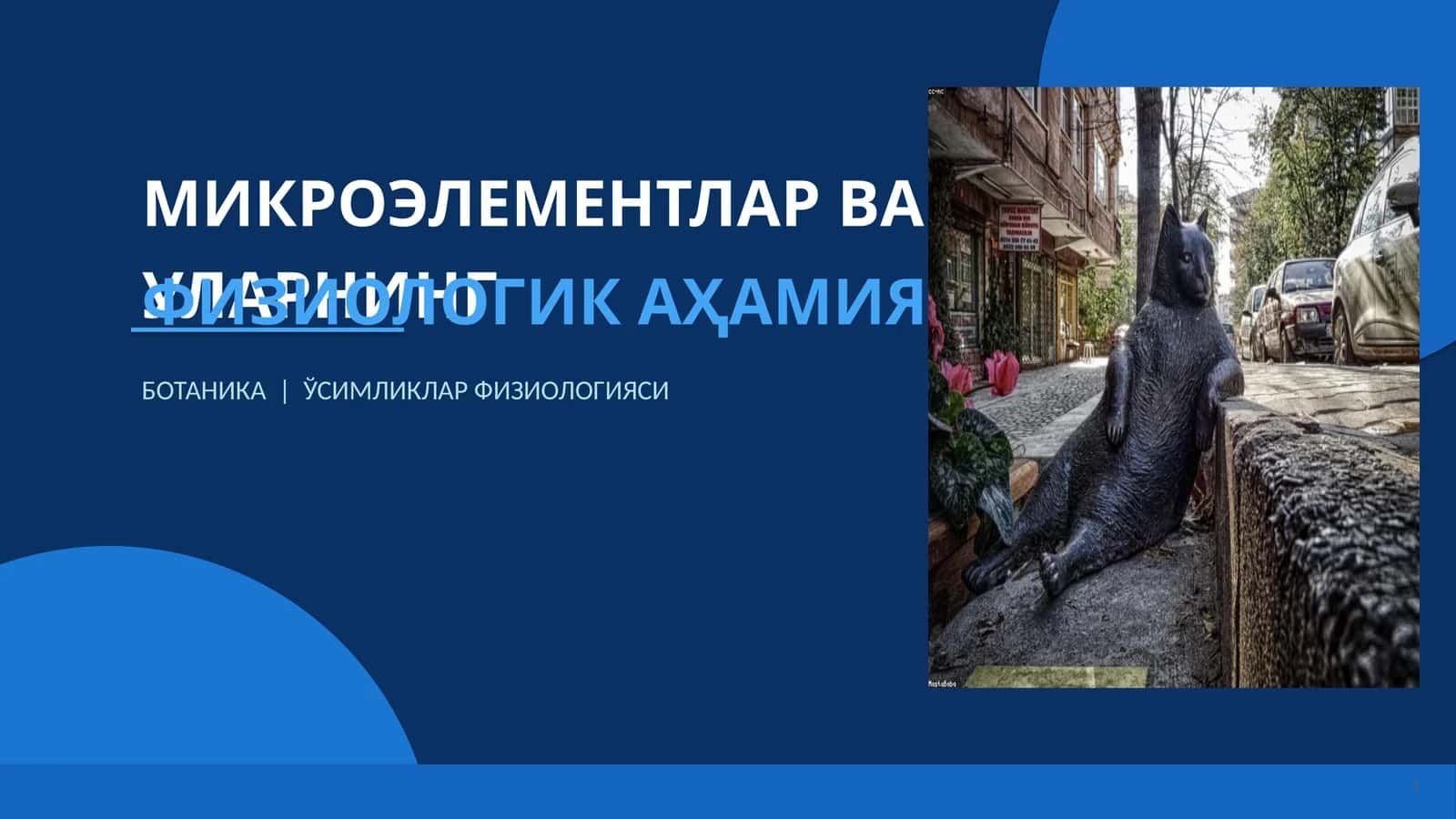 МИКРОЭЛЕМЕНТЛАР ВА УЛАРНИНГ ФИЗИОЛОГИК АҲАМИЯТИ