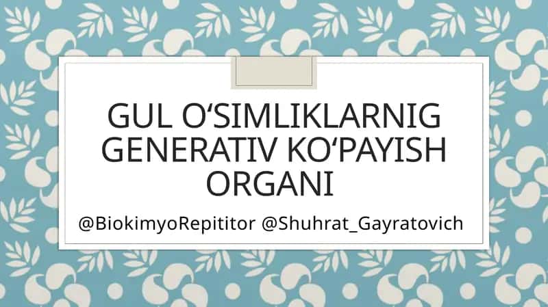 Gul o‘simliklarnig Generativ ko‘payish organi