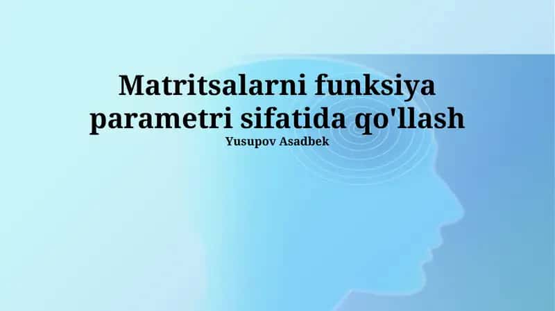 Matritsalarni Funktsiya Parametrlari Sifatida Qo'llash